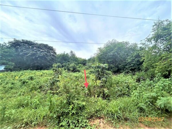 01 Empty Land _photo
