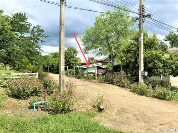 02 Single House _photo