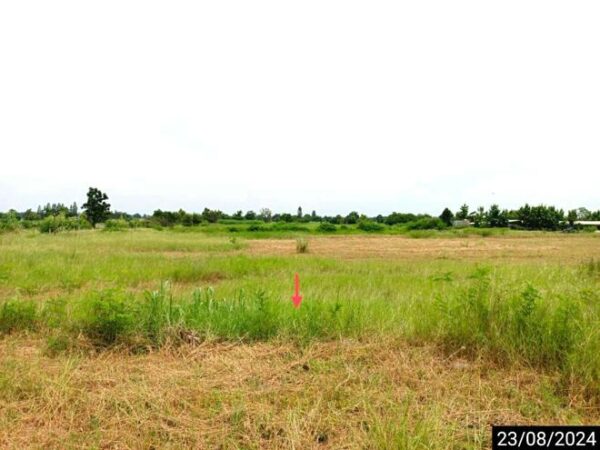 01 Land is empty. _photo