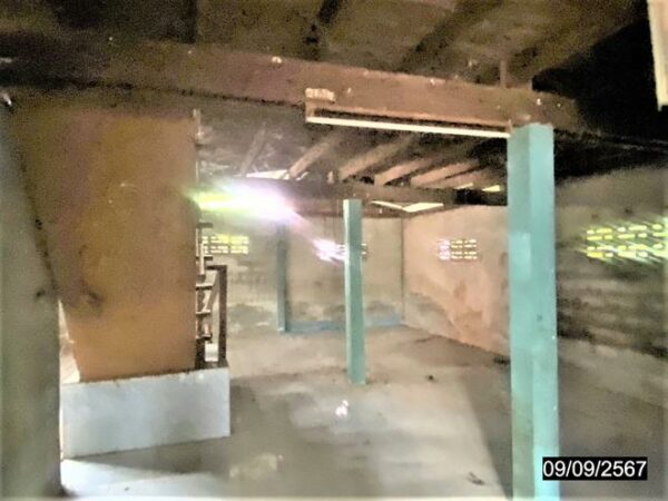 02 Single House _photo