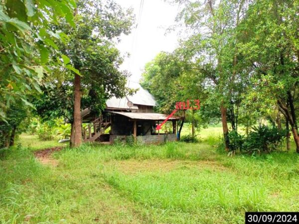 02 Single House _photo