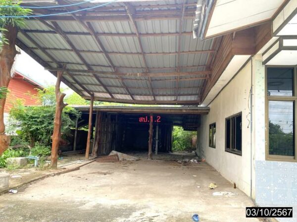 02 Single House _photo