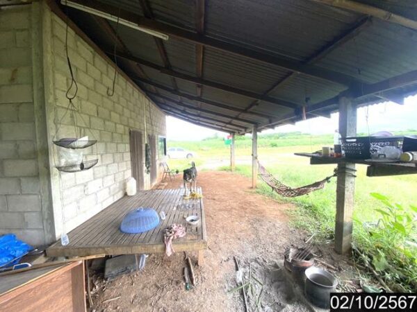 02 Single House _photo