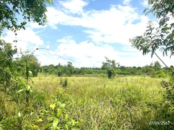 01 Land is empty. _photo