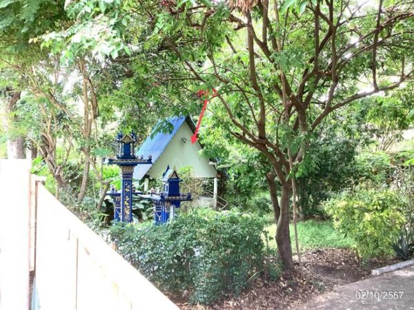 02 Single House _photo