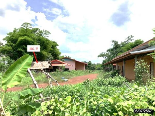 02 Single House _photo