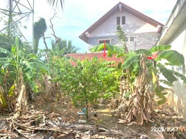 02 Single House _photo