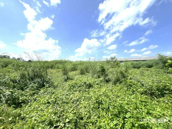 21 Agricultural Park _photo