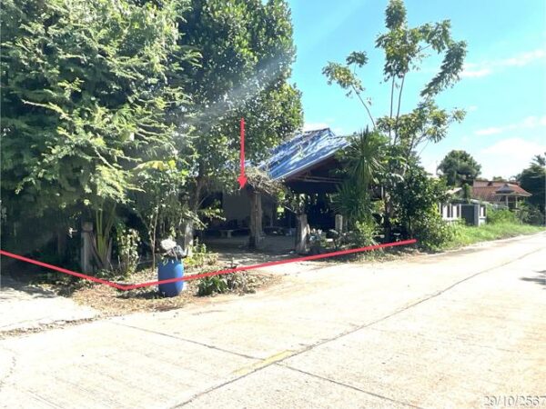 02 Single House _photo