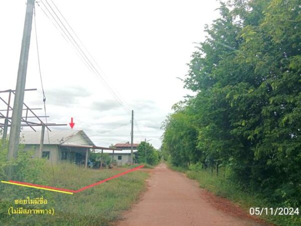 02 Single House _photo