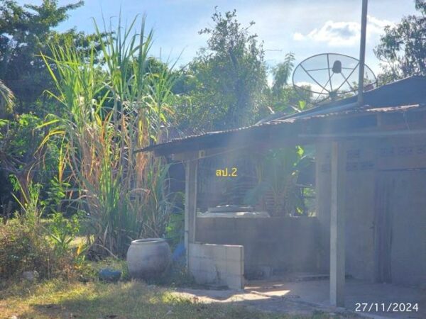 02 Single House _photo