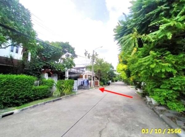 02 Single House _photo