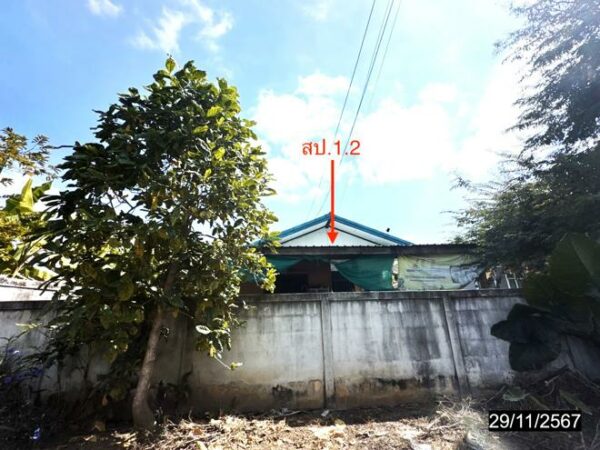 02 Single House _photo