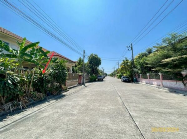 02 Single House _photo