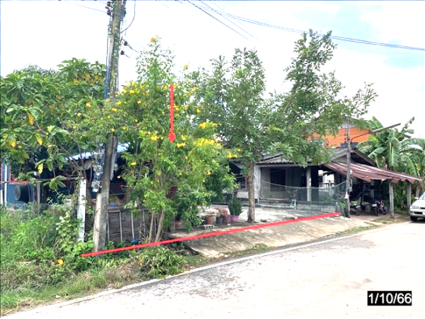 02 Single House _photo