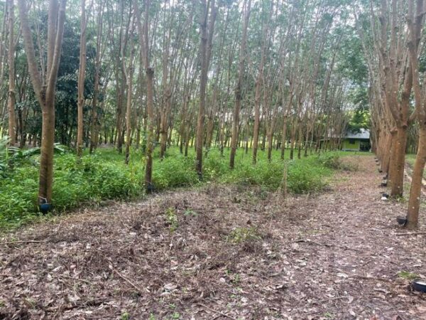 01 Empty Land _photo