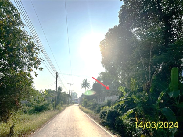 02 Single House _photo