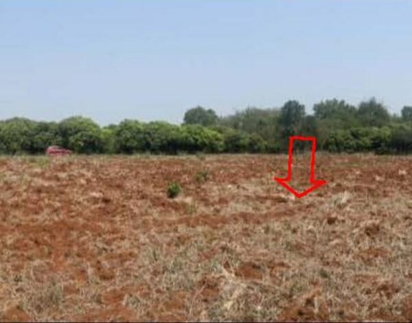 01 Land is empty. _photo