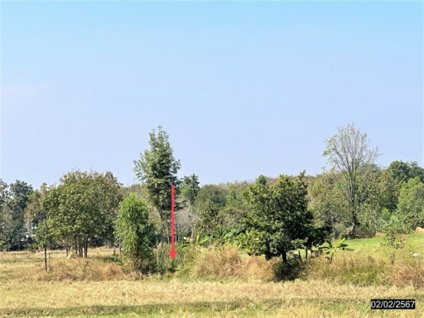 01 Land is empty. _photo