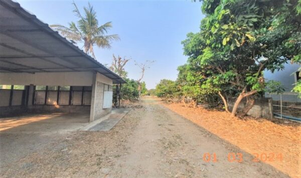 02 Single House _photo
