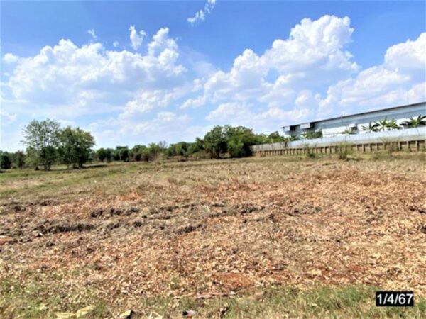 01 Land is empty. _photo
