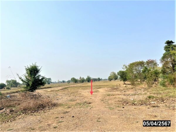 01 Land is empty. _photo