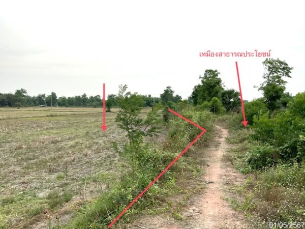 01 Land is empty. _photo