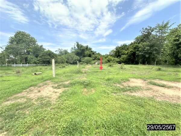 01 Land is empty. _photo