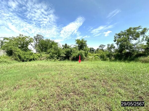 01 Land is empty. _photo