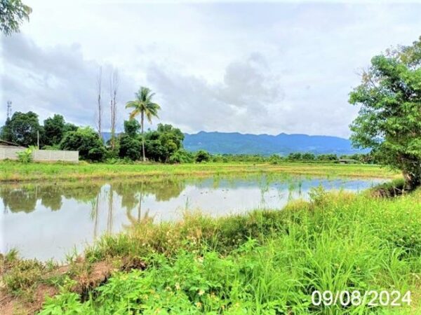01 Land is empty. _photo