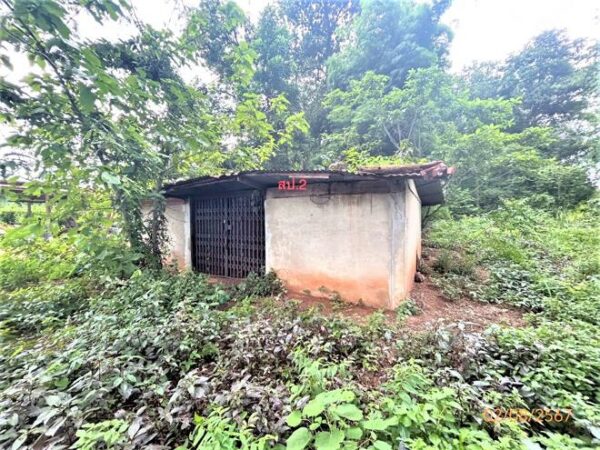 02 Single House _photo