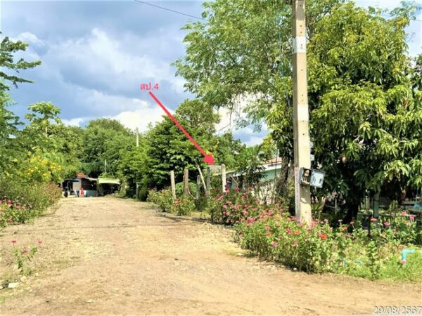 02 Single House _photo
