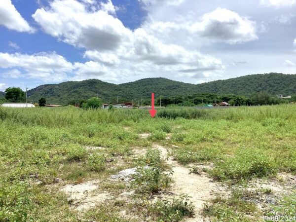 01 Land is empty. _photo