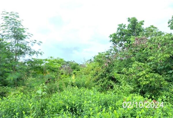 01 Land is empty. _photo