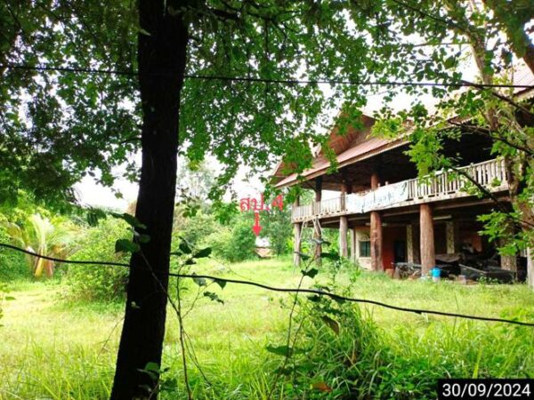 02 Single House _photo