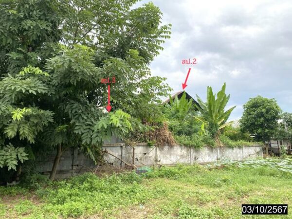 02 Single House _photo