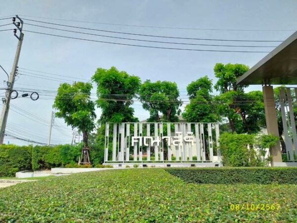 02 Single House _photo