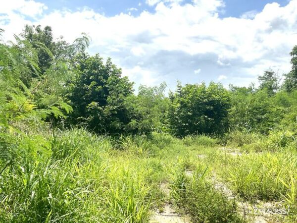 01 Land is empty. _photo