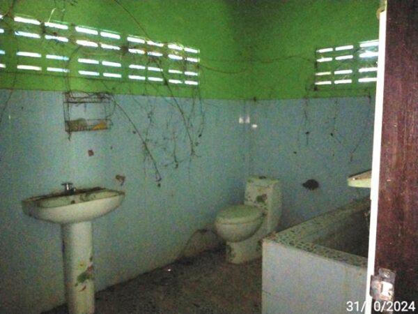 02 Single House _photo
