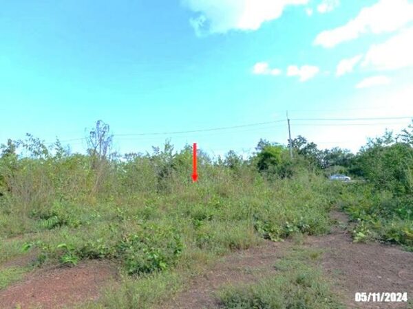 01 Land is empty. _photo
