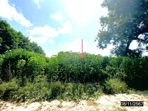 01 Land is empty. _photo