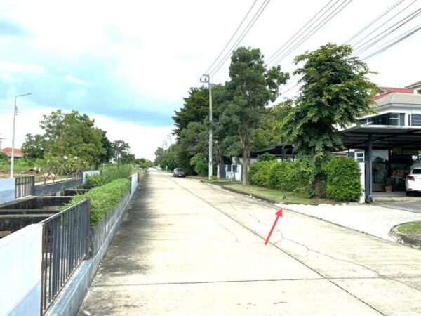 02 Single House _photo