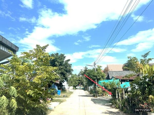 02 Single House _photo
