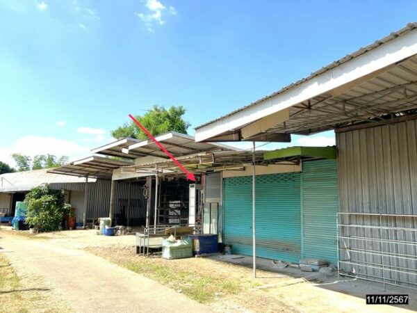 12 warehouses _photo