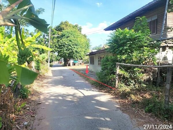 02 Single House _photo