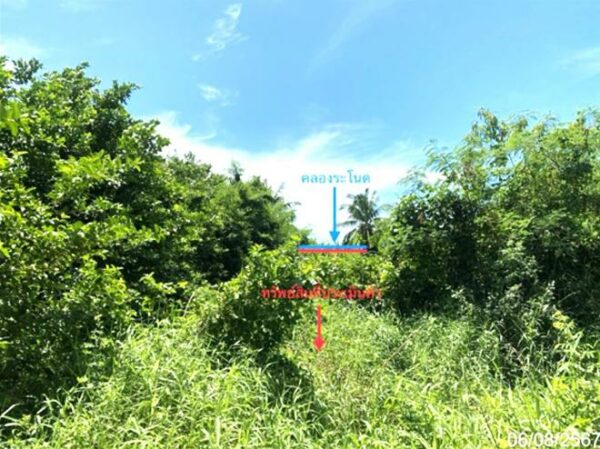 02 Single House _photo