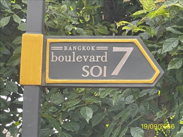 02 Single House _photo
