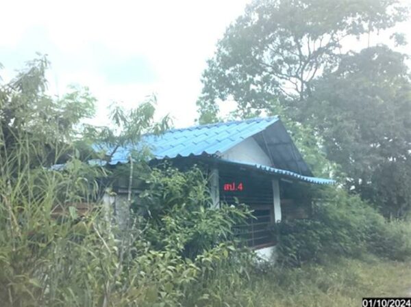 02 Single House _photo