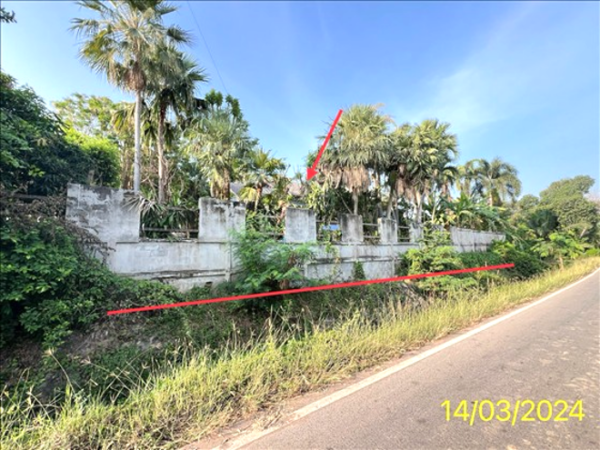 02 Single House _photo