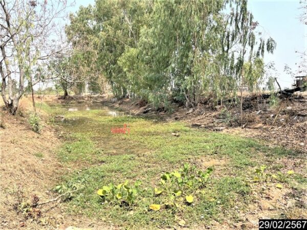 01 Land is empty. _photo